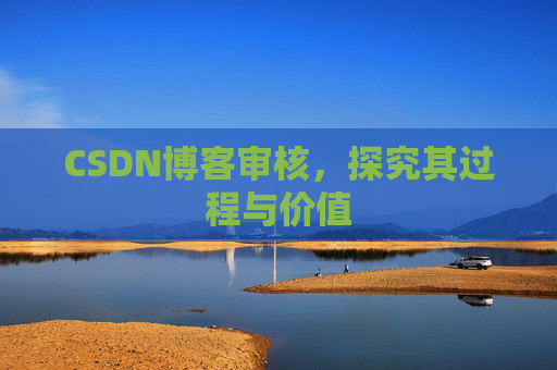 CSDN博客审核，探究其过程与价值